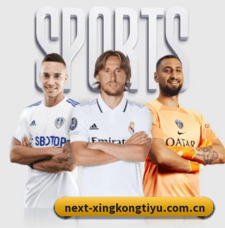 五大服务分区,信息按项目分类（xingkong）